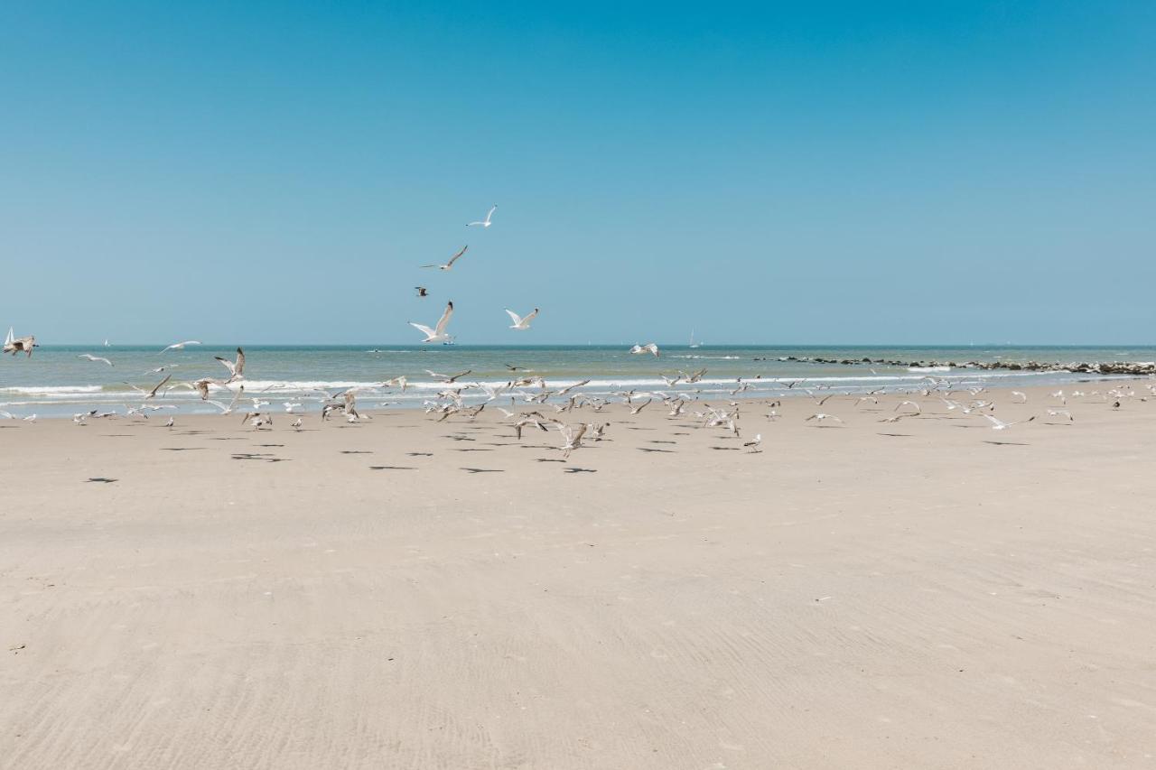 Appartamento Molo Roof - Stylish Penthouse With Marina View Blankenberge Within Walking Distance From The Sea - 15 Km From Bruges Esterno foto